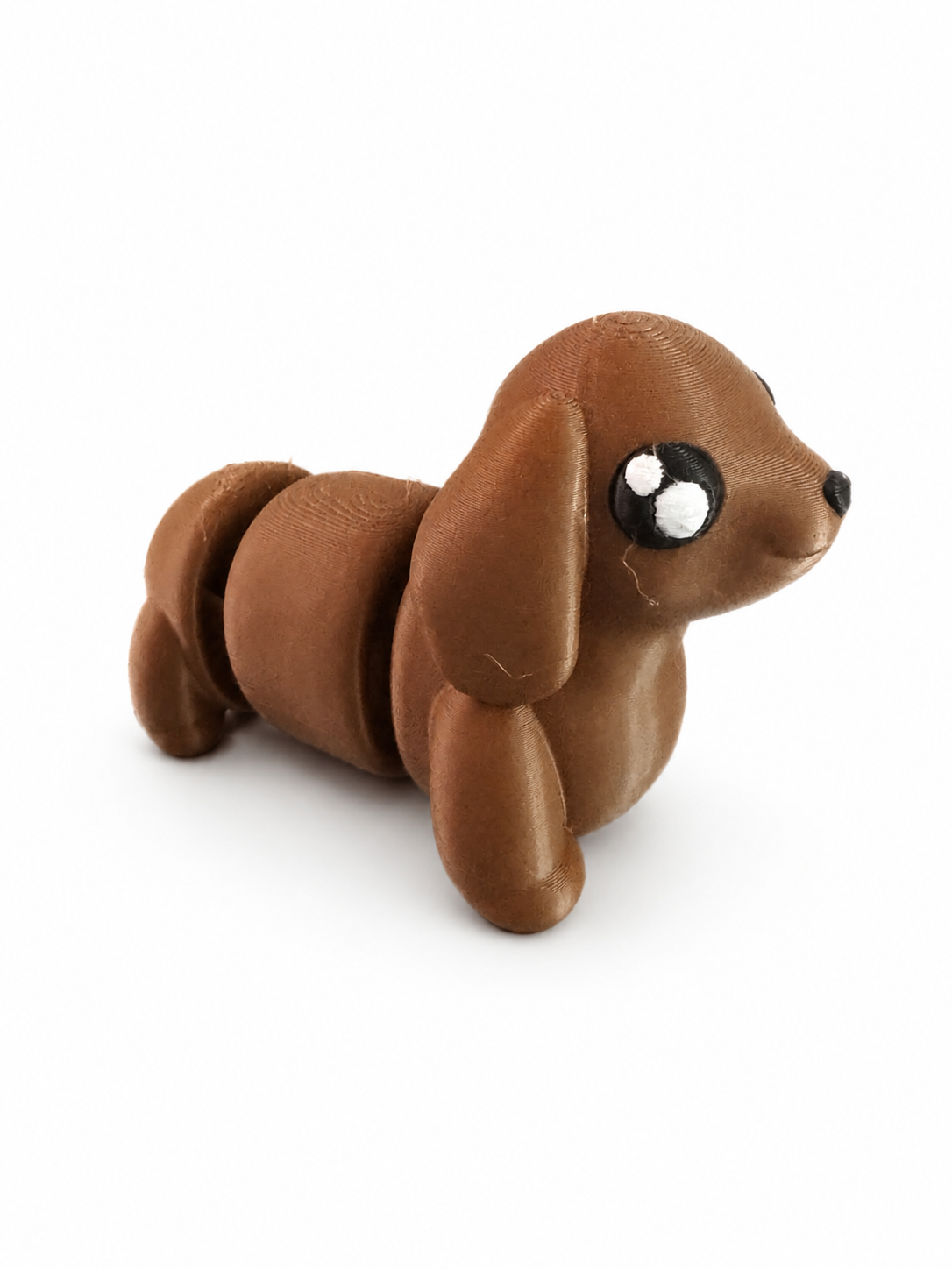 Dachshund