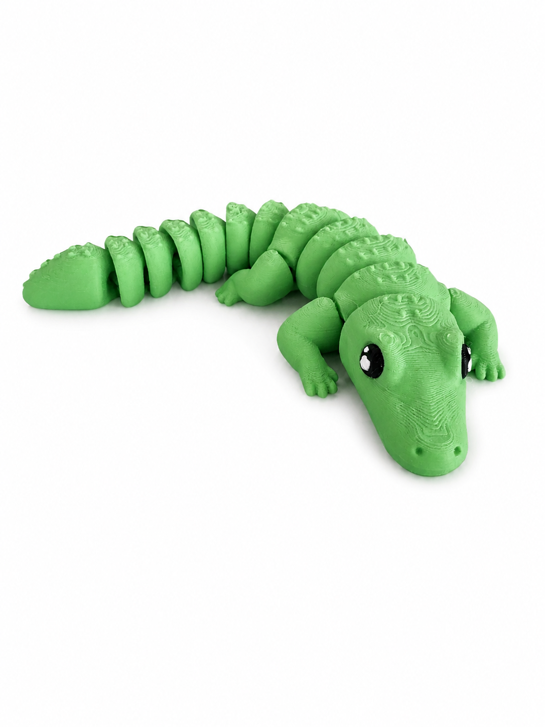 Alligator